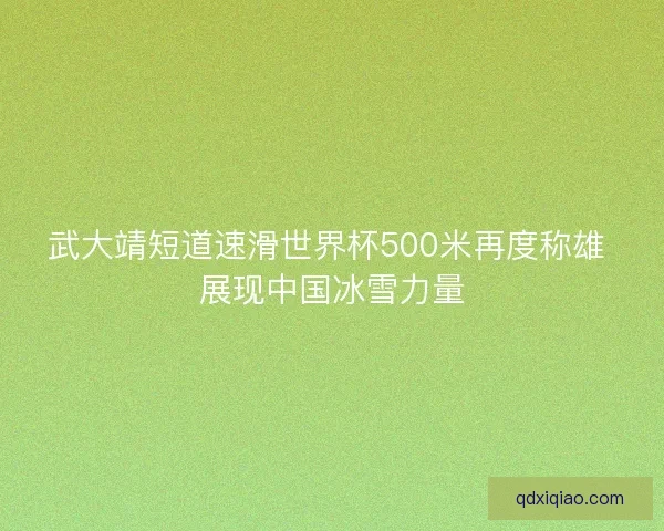 武大靖短道速滑世界杯500米再度称雄 展现中国冰雪力量