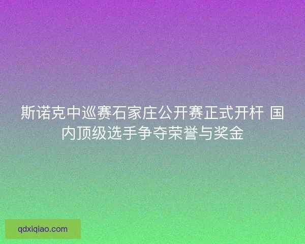 斯诺克中巡赛石家庄公开赛正式开杆 国内顶级选手争夺荣誉与奖金